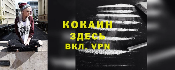 стафф Ладушкин