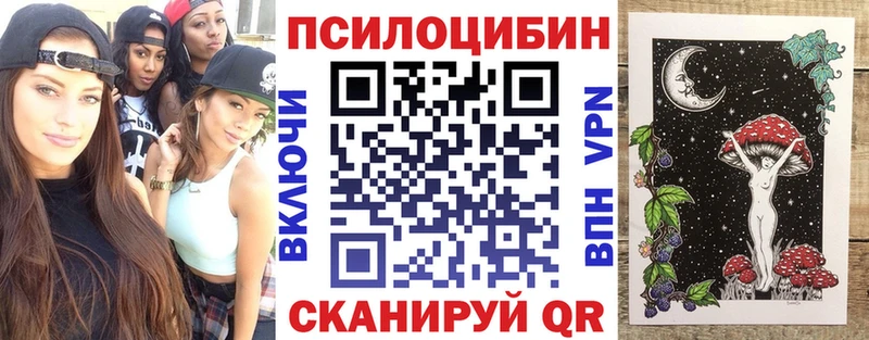 наркотики  Наро-Фоминск  Псилоцибиновые грибы мицелий 