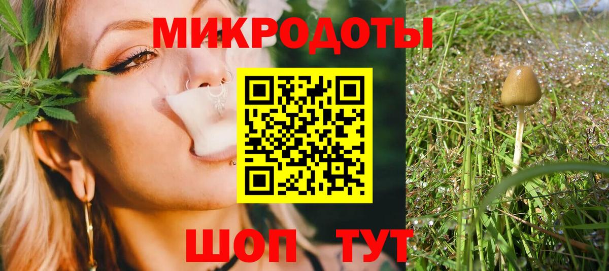 Псилоцибиновые грибы GOLDEN TEACHER  Наро-Фоминск  Галлюциногенные грибы мицелий 