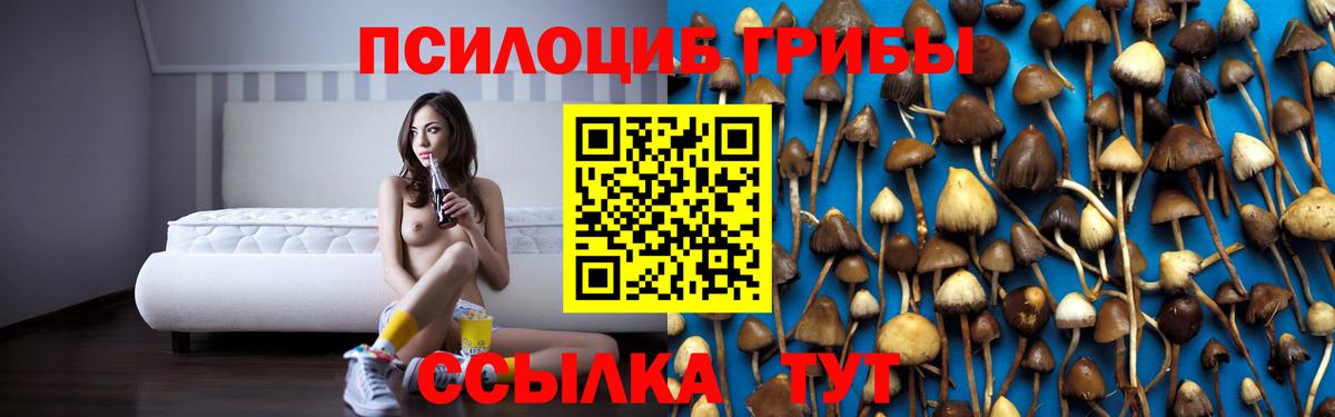 Наро-Фоминск  где купить   Вход с VPN  Галлюциногенные грибы мухоморы 
